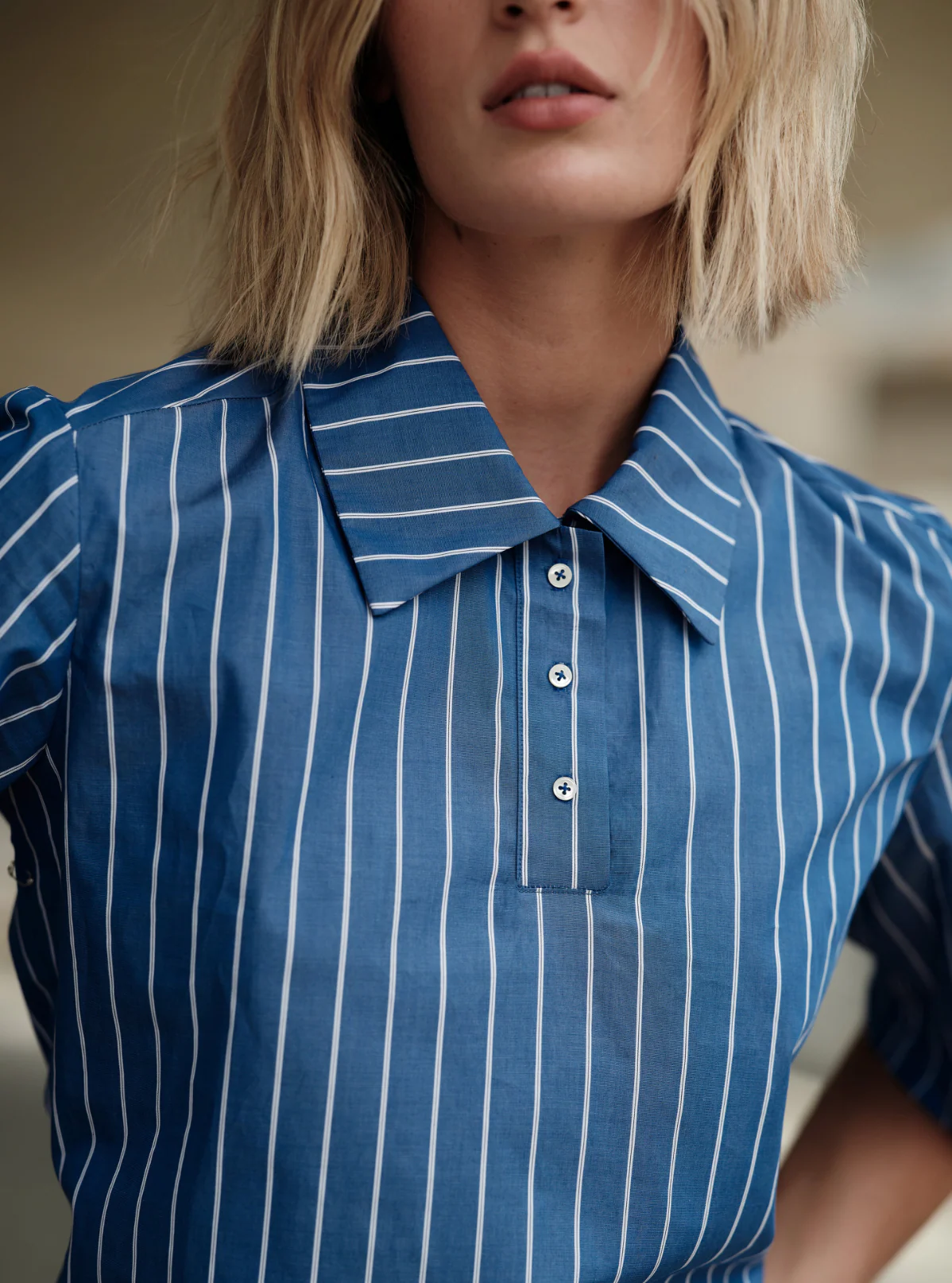 The Polo - Image 2